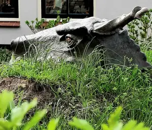 Allet 05 Monsterboomstronk